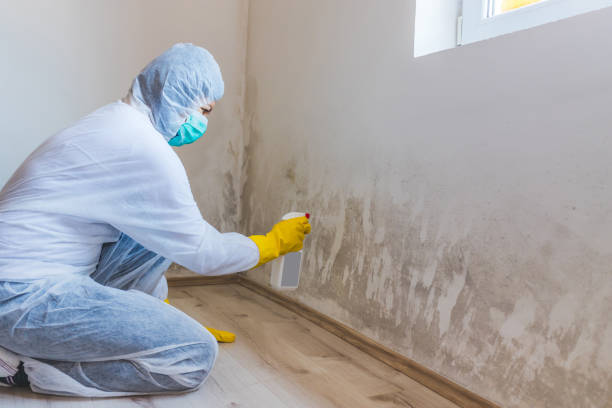 Mold inspector in Flourtown performing thermal imaging