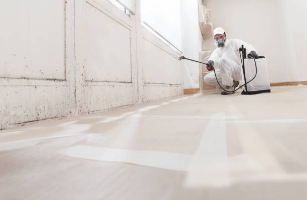 Black mold remediation team in Flourtown